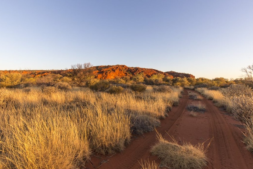 Birriliburu Indigenous Protected Area