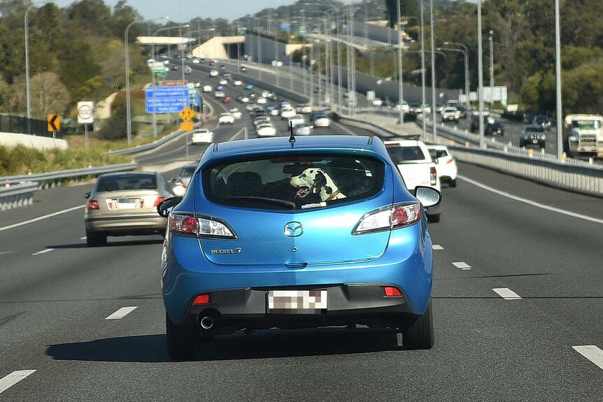 A car on the Pacific Motorway