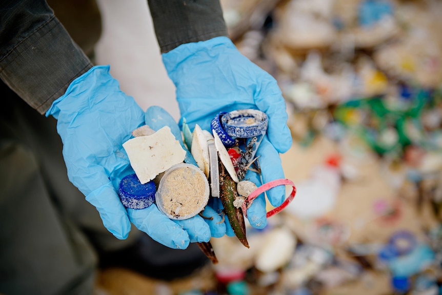 A pair of hands holding various pieces of rubbish found on the side of a beach.