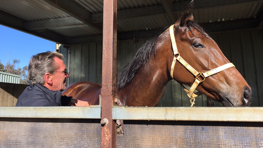 Cox Plate contender The Cleaner