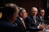 State and territory leaders sit in a row at a curved desk, with Albanese at the centre and others flanking him.