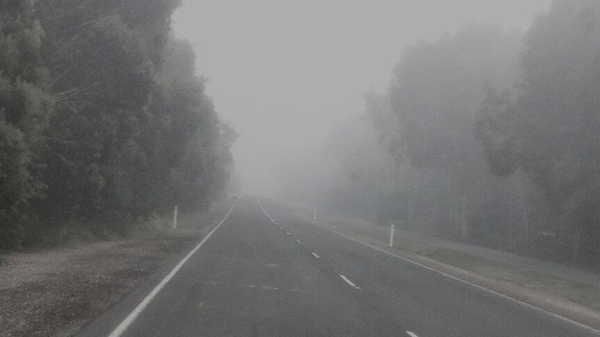 road through windscreen