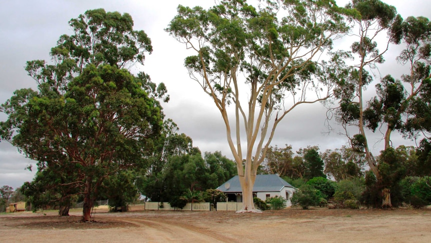 A farmhouse surrounded by trees in Kojonup in WA's Great Southern region