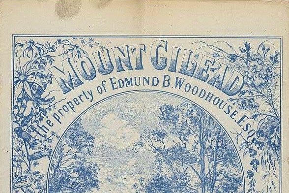 An old-looking advertisement for a property called Mount Gilead.