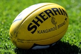A yellow Australian rules ball sitting on the grass.
