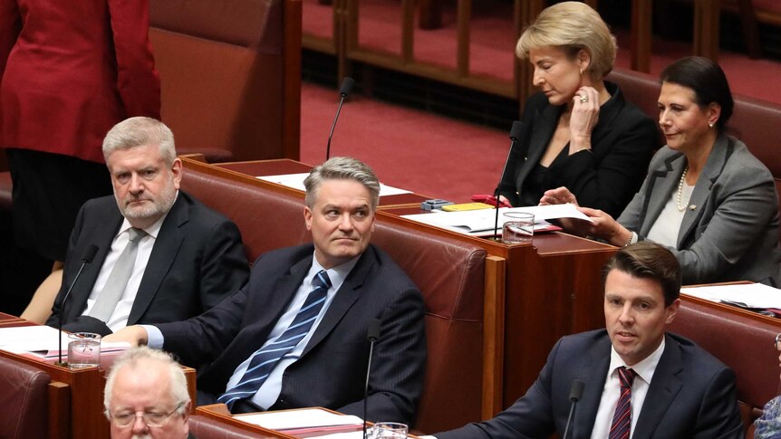 Mathias Cormann, Mitch Fifield and Michaelia Cash in parliament on the backbench after resigning.