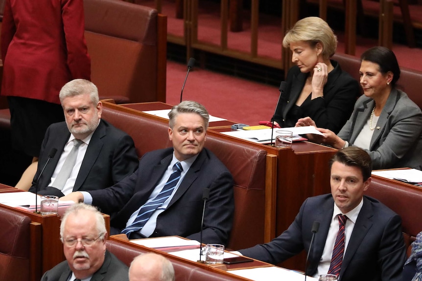 Mathias Cormann, Mitch Fifield and Michaelia Cash in parliament on the backbench after resigning.