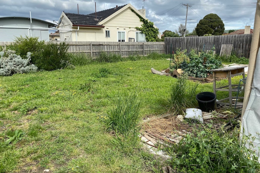 Sapphire's backyard was once a tangle of weeds and grass.