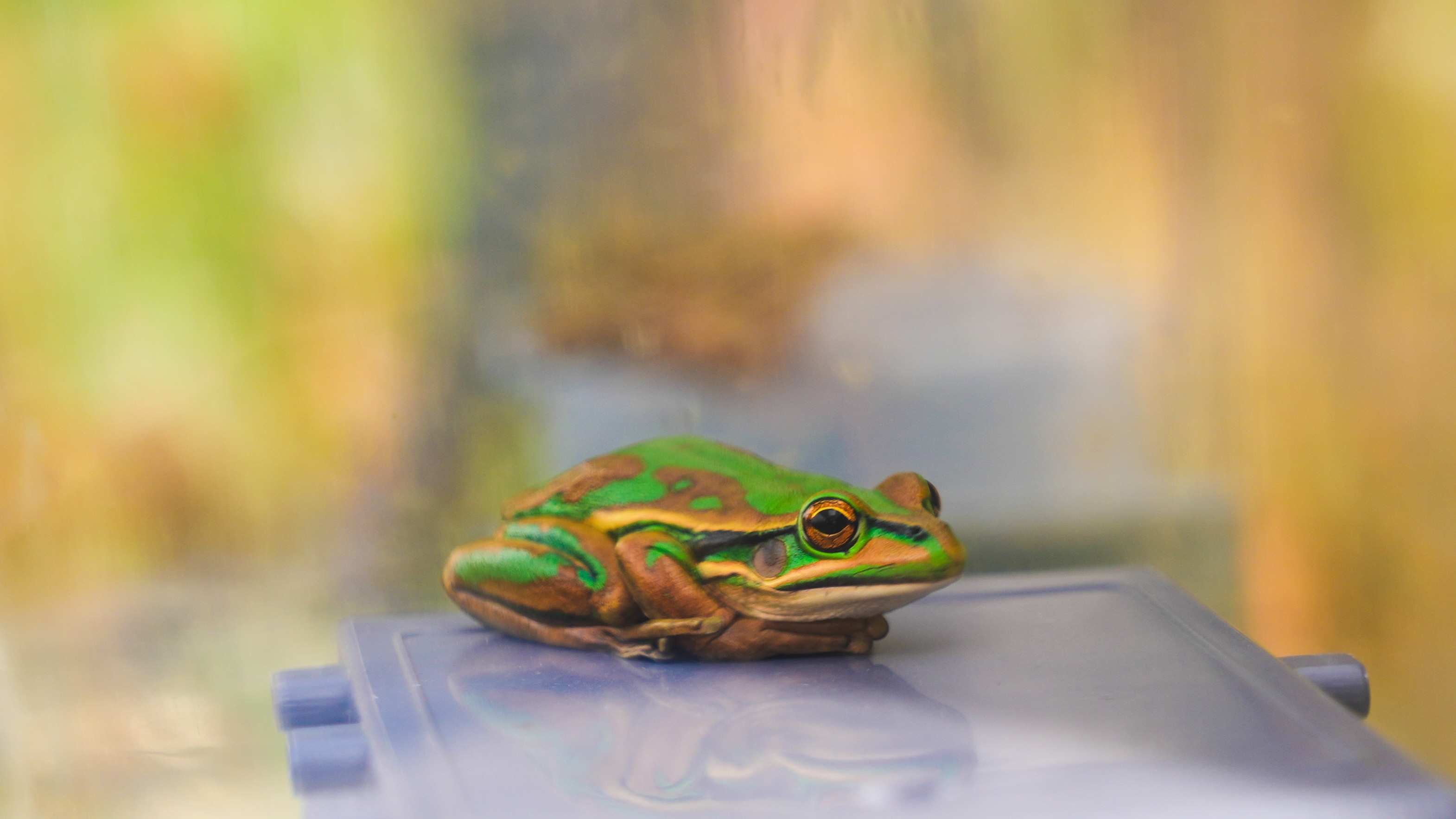 58655b70571e38430a97b424819df8c7?impolicy=wcms_crop_resize&cropH=1767&cropW=2651&xPos=245&yPos=0&width=862&height=575