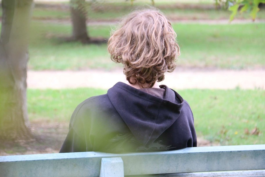 A boy with medium length brown hair who is wearing a hoodie is shown in a park from behind.