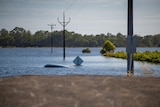 A car is completely submerged under floodwaters in Renmark.