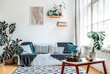 A tidy modern living room in an apartment, with plants and grey couch, in a story about debunking rental inspection myths.