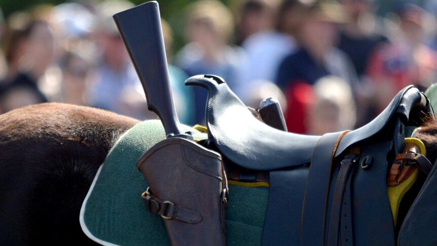 A horse made up to look like a WWI Light Horse.