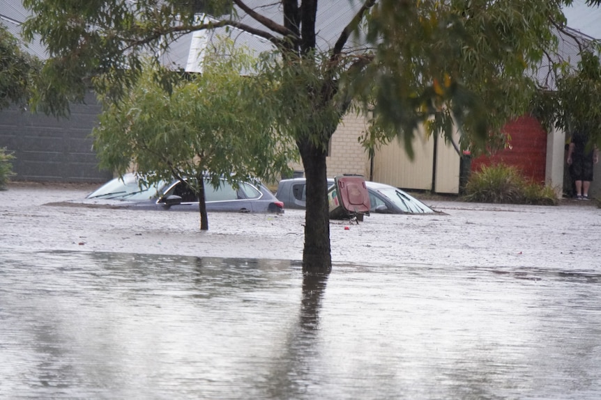 Cars seen partially submerged on a flooded suburban street. 
