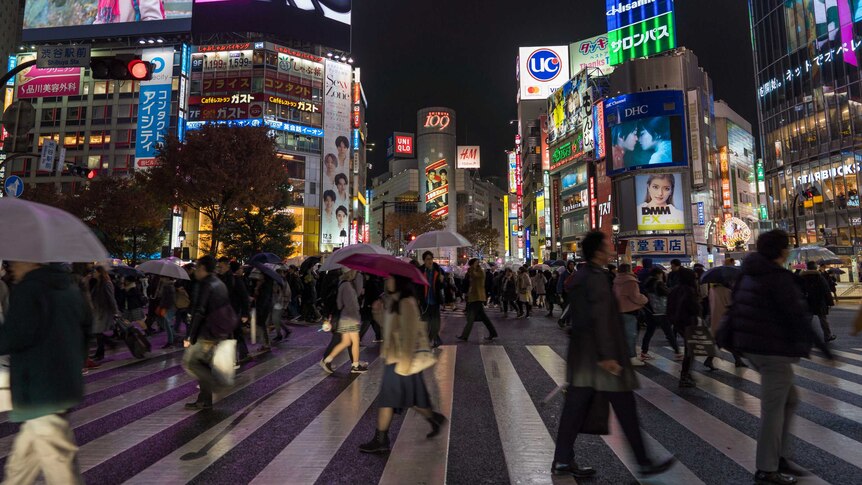 People cross Japan's Shibuya crossing, with a number sporting umbrellas, as night sets in. Advertisements adorn buildings.