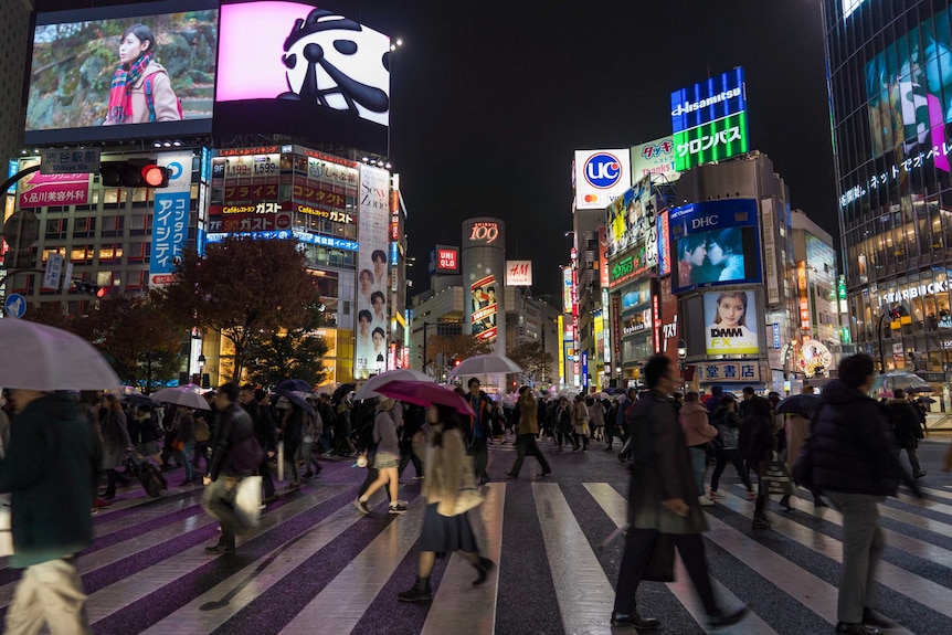 La gente cruza el cruce de Shibuya en Japón, con varios paraguas deportivos, cuando cae la noche. Los anuncios adornan los edificios.
