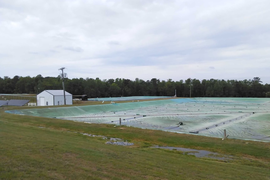Waste ponds covered in plastic