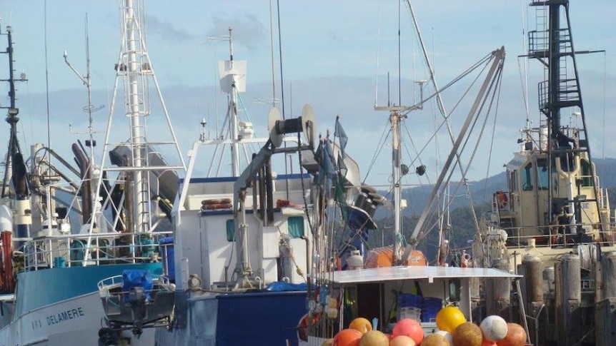 Fishing boats in Batemans Bay