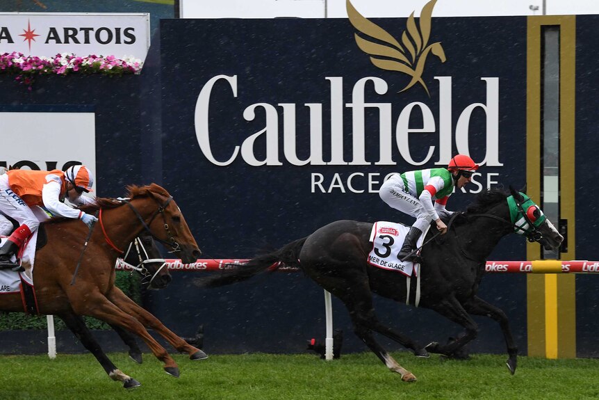 A jockey rides a horse past the post to win a big race, with two horses just at the edge of shot.