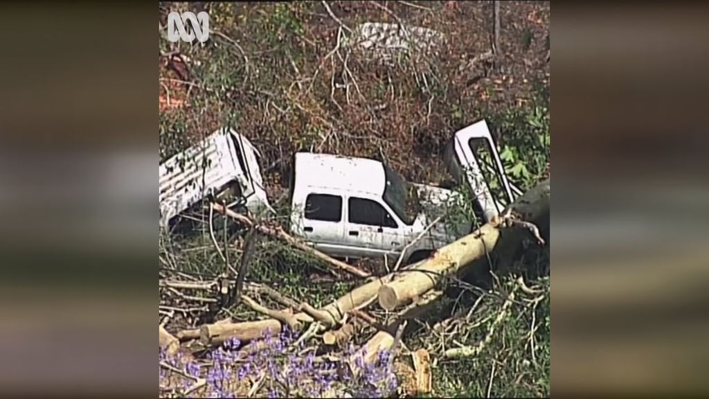 Severe storms leaves mess across south-east Queensland - ABC News