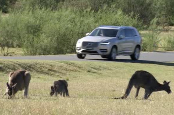 A car used in developing technology near Canberra to help motorists avoid hitting kangaroos. (29 October 2015)
