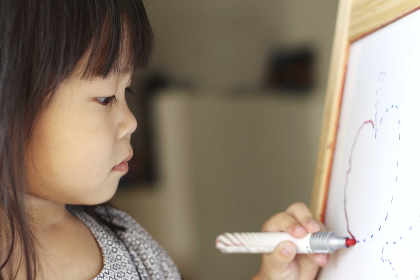 A left-handed girl tracing a drawing with marker pen on a board.