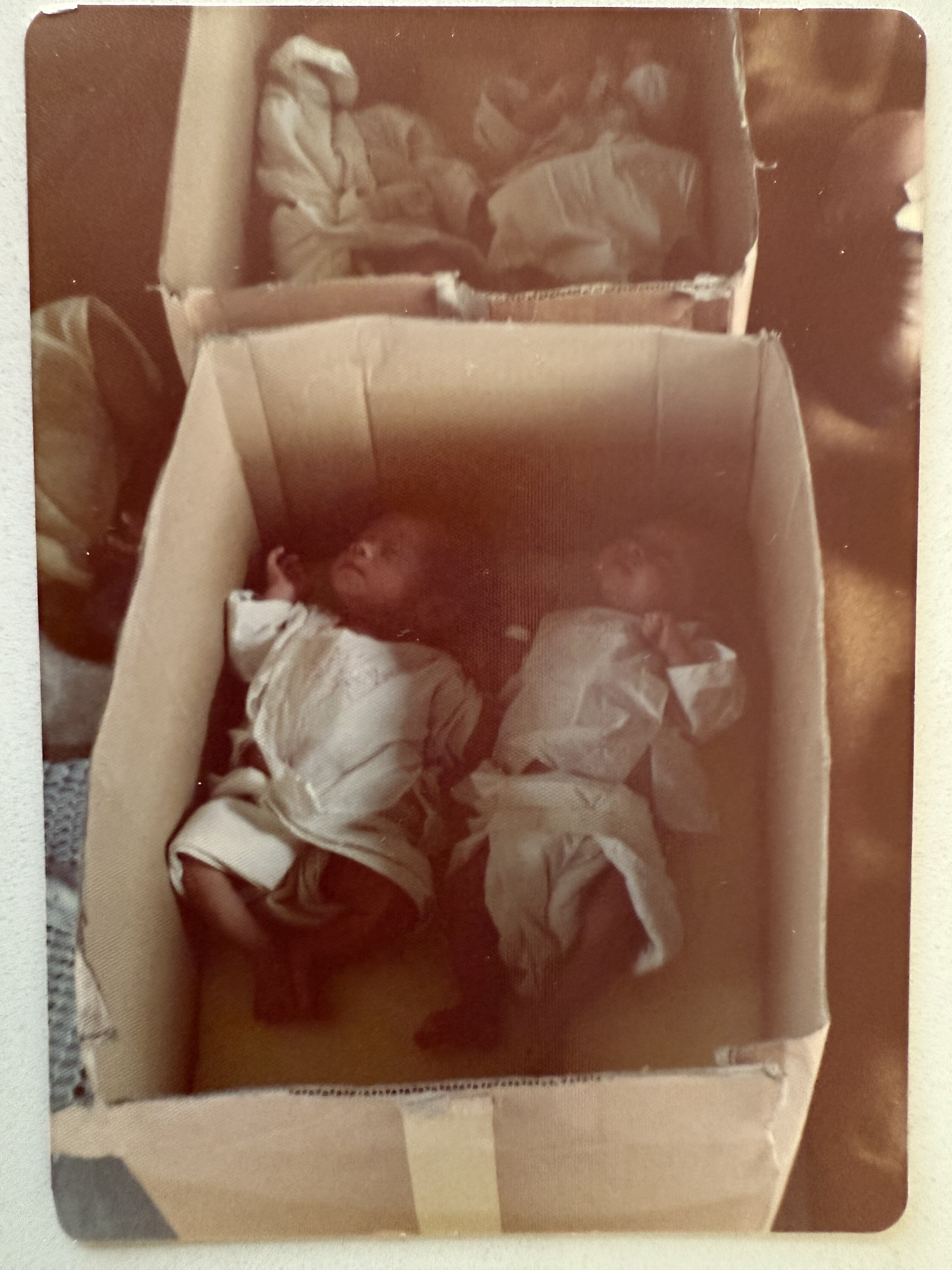 Fifty years later, what happened to the children evacuated from Vietnam ...
