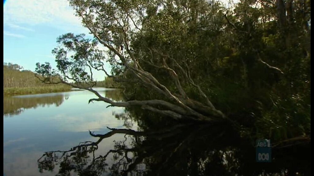 Government commissions Wild Rivers legislation inquiry - ABC Radio