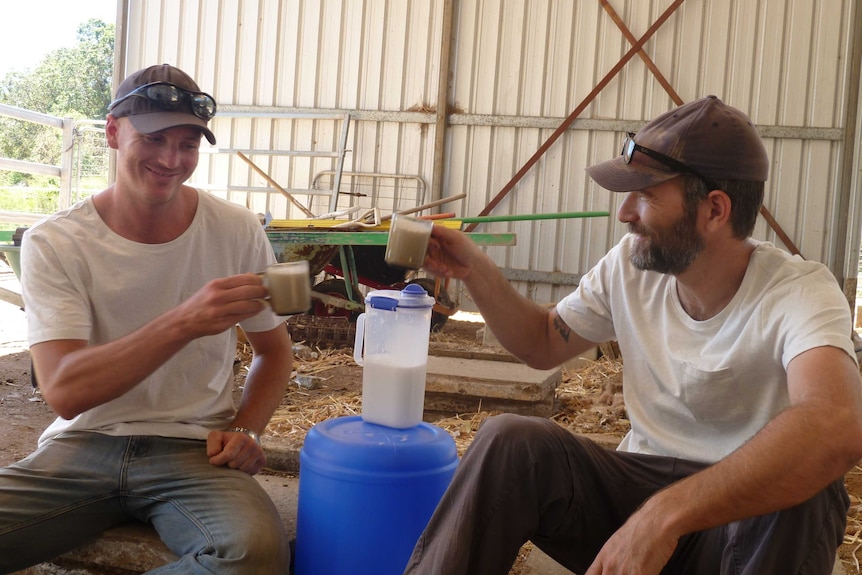 Steve Geppert and Gilard Berman say cheers with camel milk.