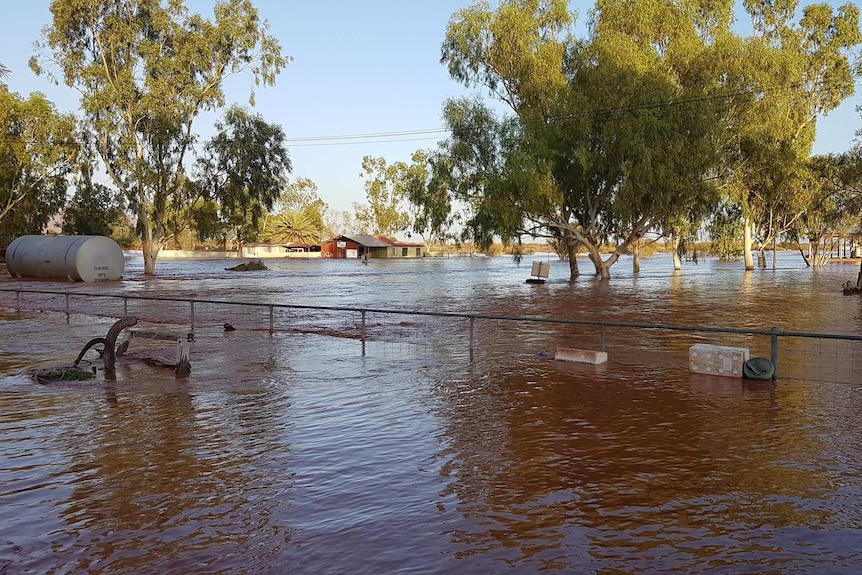 Waist-deep brown water has flooded an outback station.