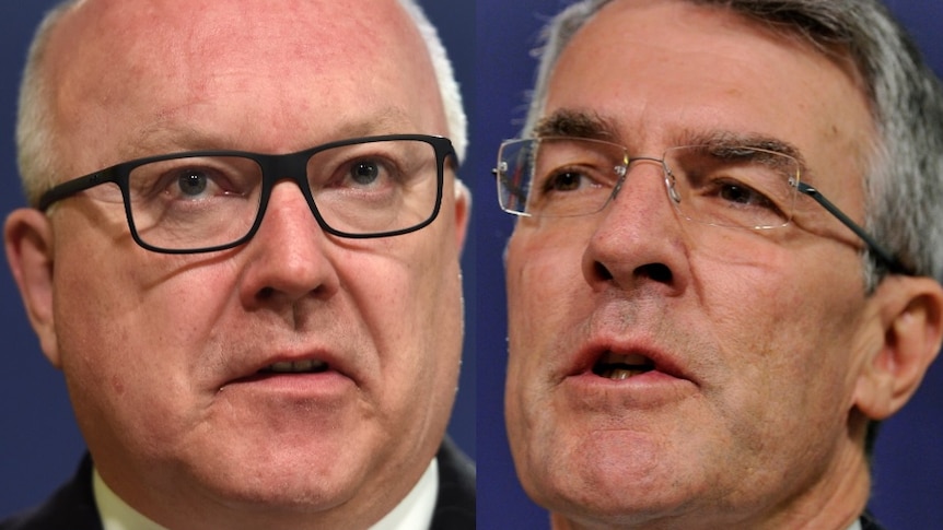 Mr Brandis and his Labor counterpart Mark Dreyfus have been locked in a three-year public fight over the diaries.