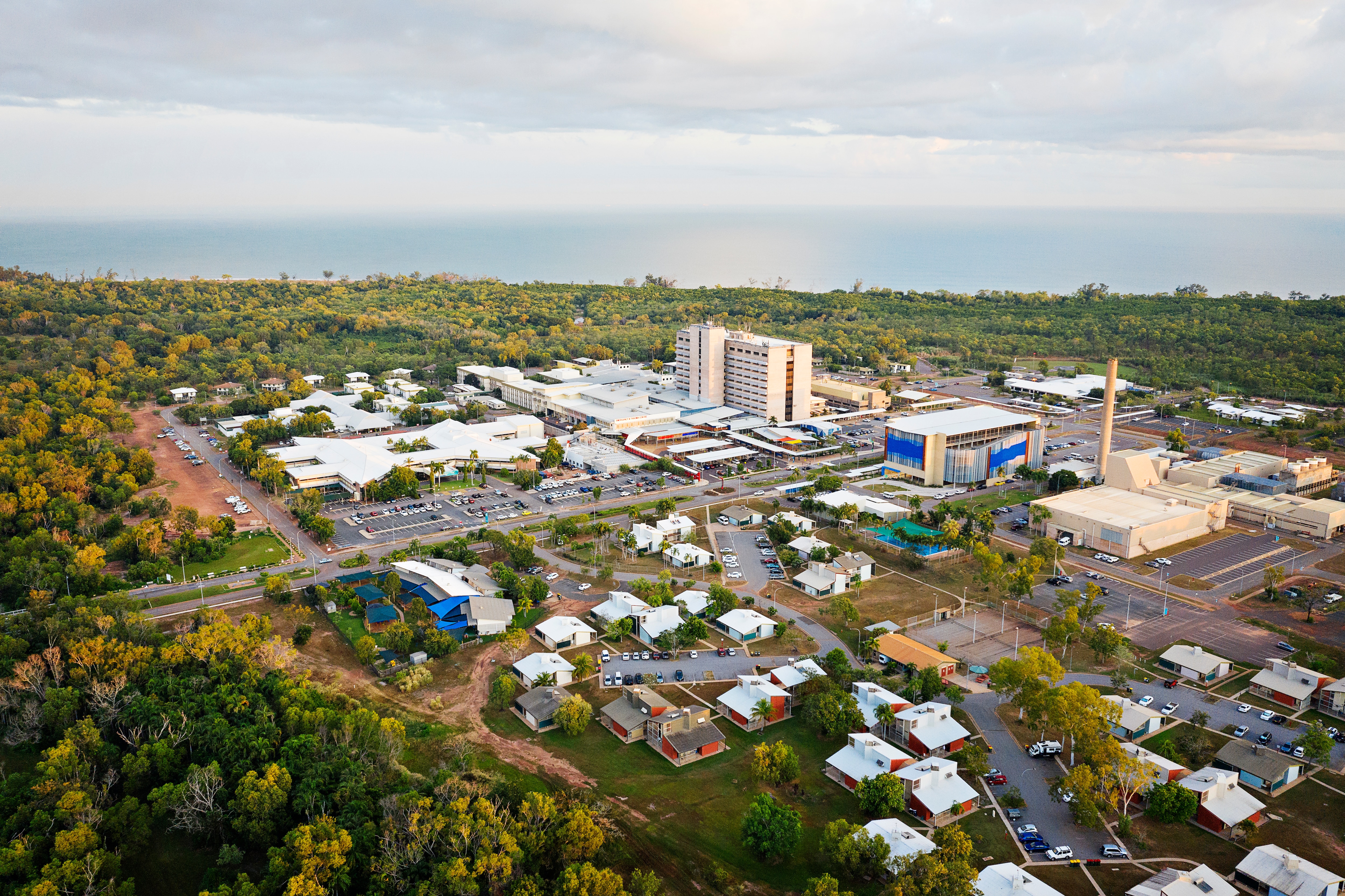 Aerial shot of buildings surrounded by greenery, two of which are the public and private hospital.