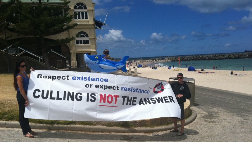 Shark cull protestors at Cottesloe Beach