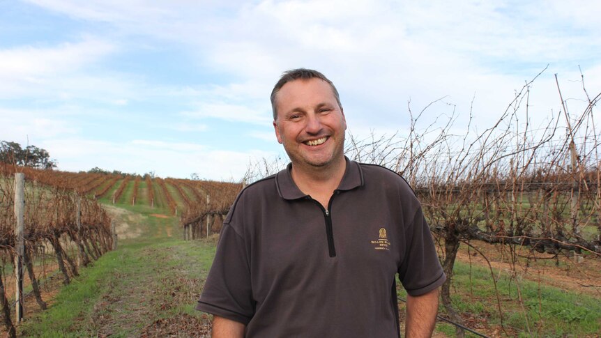 Jeff Dewar smiles in the vineyard