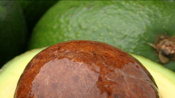 An open avocado sitting on top of whole avocados