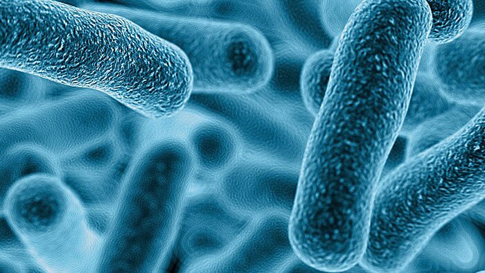 Scientists make promising breakthrough against superbug - ABC listen