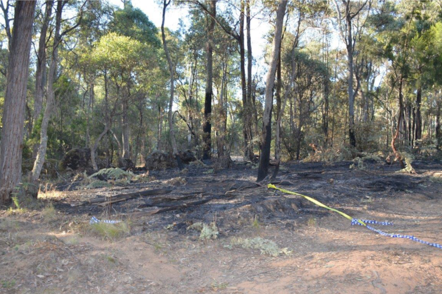 Burnt bushlands after a fire was deliberately lit in Koetong last February.