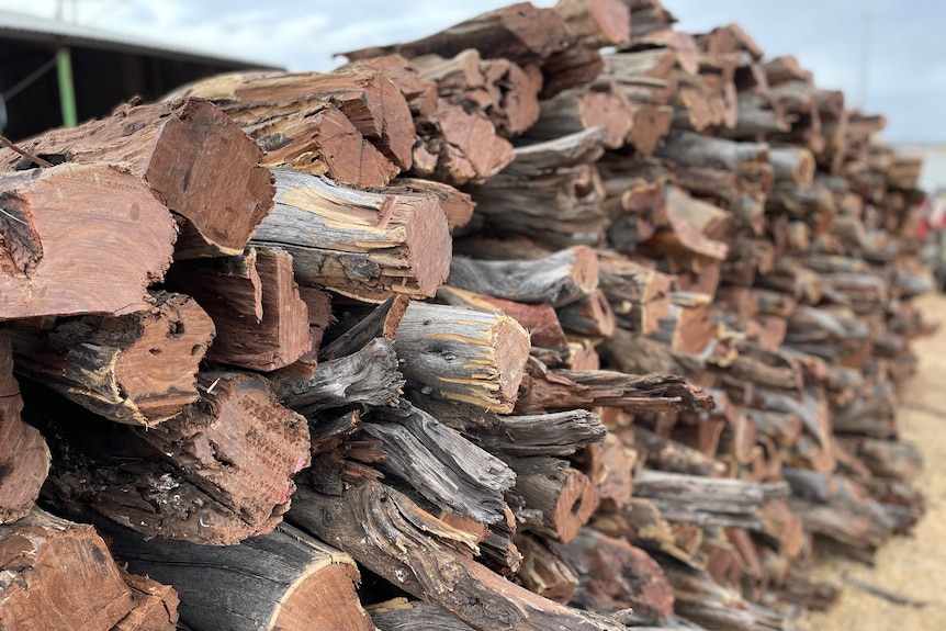 A pile of Gidgee wood.