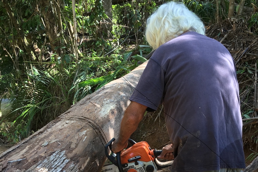 A man at work with a chainsaw on a tree in a rainforest.