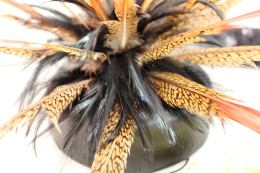 Orange, gold and black coloured feathers sit on top of a black hat.