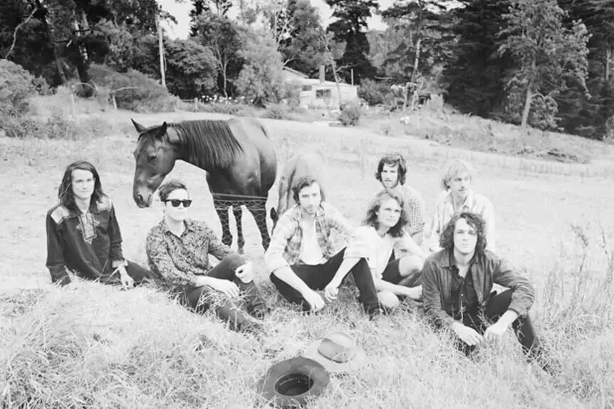 A black and white photo of the seven members of King Gizzard sat in tussock grass with a horse nearby