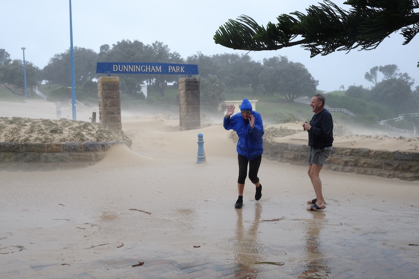 Dunningham Park at Coogee Beach