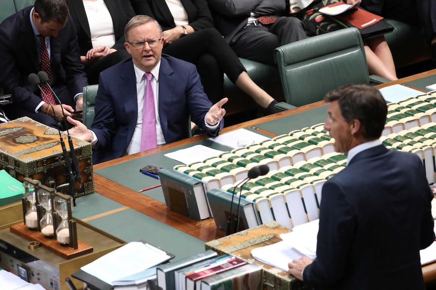 Anthony Albanese holds his arms outstretched as Angus Taylor speaks at the despatch box