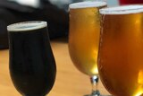 Three glasses of beer in a range of colours