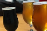 Three glasses of beer in a range of colours