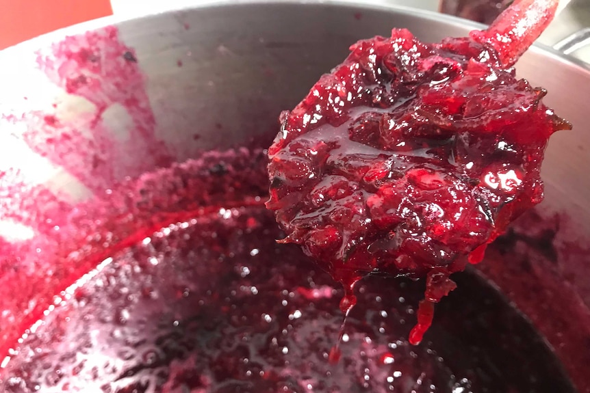 A closeup of rosella jam fresh from the kitchen.