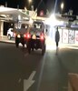 晚上，两辆 ute 和一辆四轮驱动车在一家商店外。 “ class=