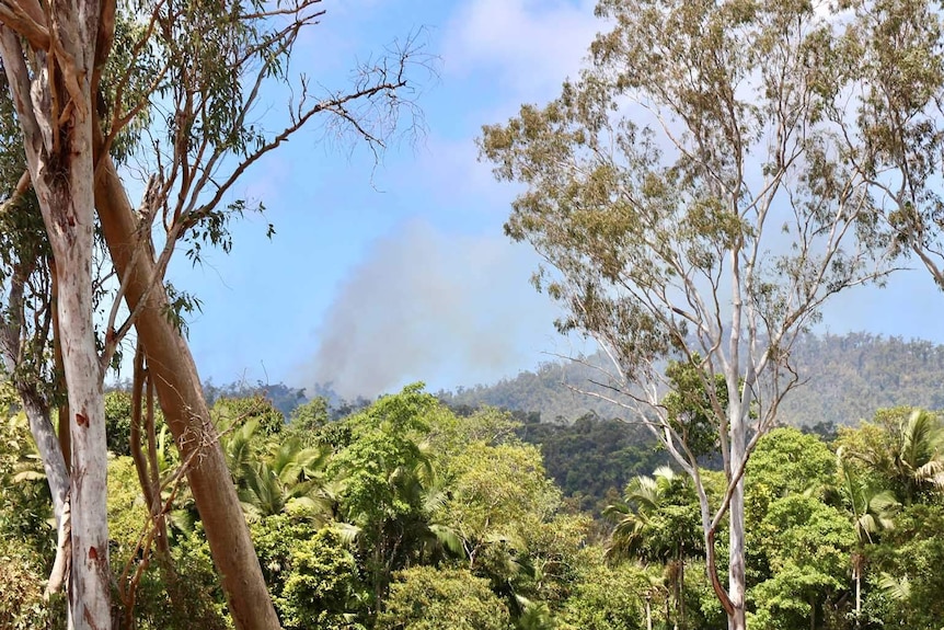 Bushfire smoke int he distance with bushland in the foreground