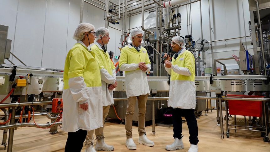 Four people standing centre frame with food processing machinery in the background