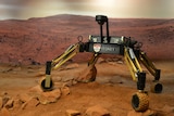 Mammoth experimental planetary rover